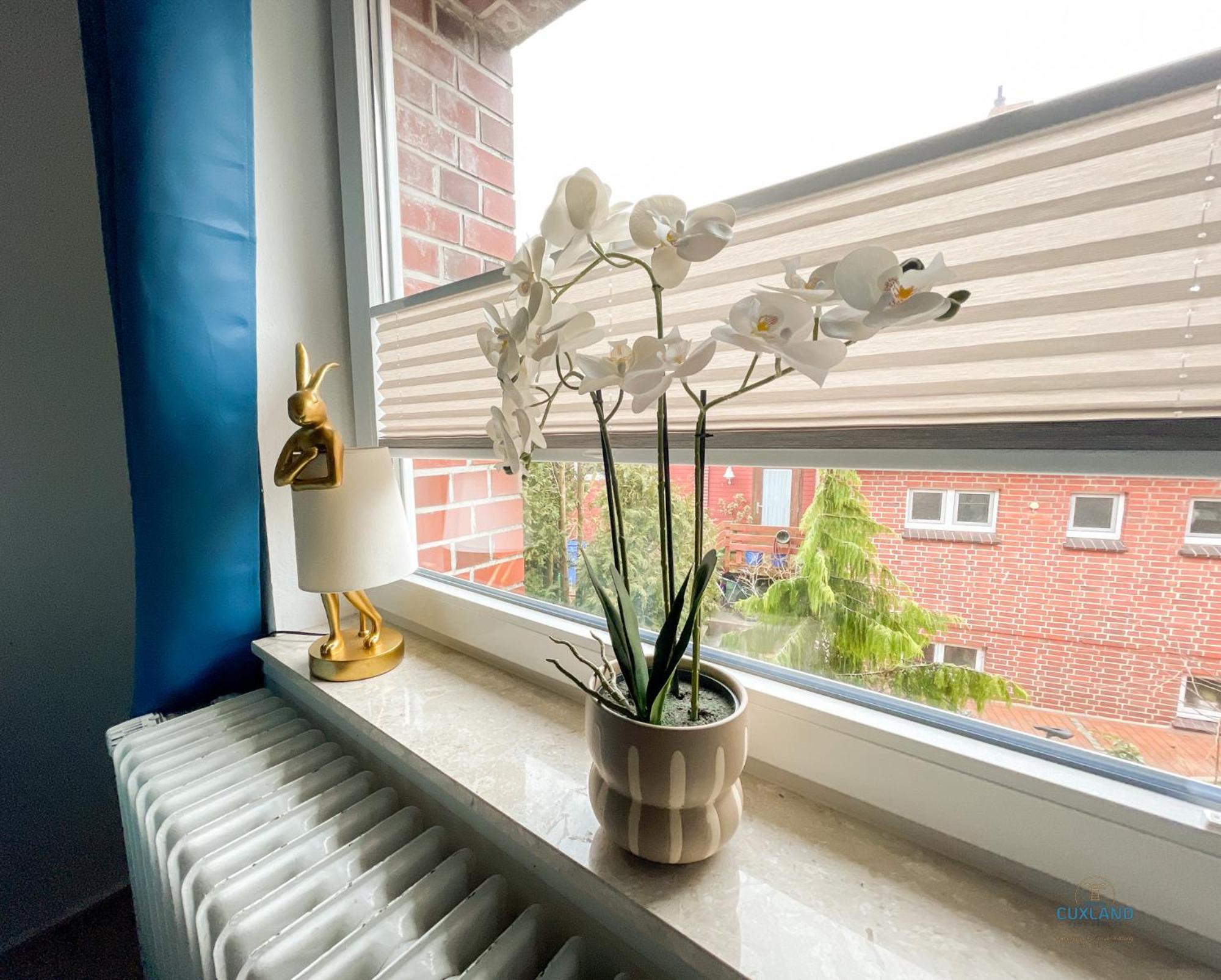 Urlaub In Der Grimmershörnbucht Apartment